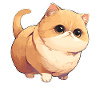 Munchkin Kitten Munchkin Cat