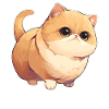 Munchkin Kitten Munchkin Cat