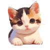 Munchkin Kitten Munchkin Cat