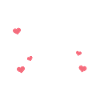 Raccoon Funny Gift