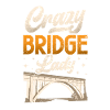 Bridge Construction and Bridge Engineer