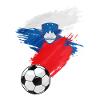 Slovenia Football Flag