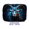 Sternzeichen Steinbock Datum