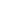 Cricket Catcher in Action