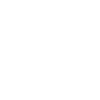Falcons Birds Birds