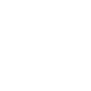 Falcons Birds Birds