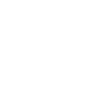 Falcons Birds Birds
