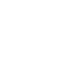 faucon pèlerin faucan oiseau prédateur