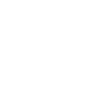 Oiseau faucon oiseaux blancs