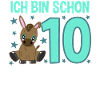 Ten-year-old donkey child: Celebration master