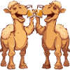 Camel Comic Beer Funny Booze