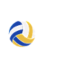 Funny Volleyball Gift