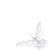 Papillons