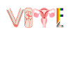 Voting Books Faustier Ovaries Lgtbq