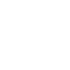 Lion Shield Head Motivation