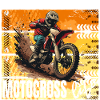 Motocross Life