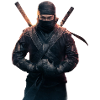 Ninja with swords