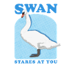 Swans Swans Swan Lover Gift