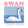 Swan Swan Lover Swans Gift