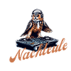 Night Owl Dj Stand Musique