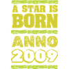 Year 2009