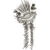 Ostrich wild animal