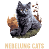 Nebelung Kitten Nebelung Cat