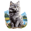 Chaton Nebelung Chat Nebelung