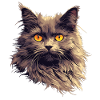 Nebelung Kitten Nebelung Cat