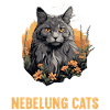 Chaton Nebelung Chat Nebelung