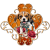 Cute little Beagle.