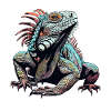 Iguana Design
