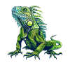 Iguana Motif