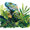 Iguana Design