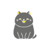 Humour chat chartreux