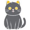 Chartreux little cat