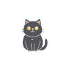 Humour chat chartreux