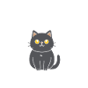 Humour chat chartreux
