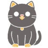 Chartreux little cat