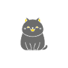Humour chat chartreux