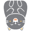 Chartreux little cat