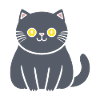Chartreux little cat