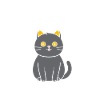 Humour chat chartreux