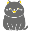 Chartreux little cat
