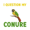 Molina Parakeet Parrot Bird Parakeet
