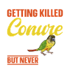Molina Parakeet Parrot Bird Parakeet