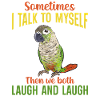 Molina Parakeet Parrot Bird Parakeet