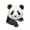 Cute Panda
