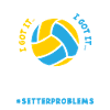 Lustiges Volleyball Geschenk