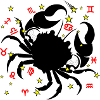 Sign Zodiac sign star logo Cancer